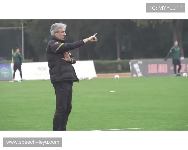 尼斯俱乐部最新动态与赛季精彩表现全面解析与展望